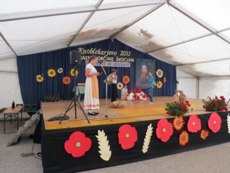 KNOBLEHARJEVO - 2013 - MODROST IN IZKUŠNJE-SREČANJE STAREJŠIH 3